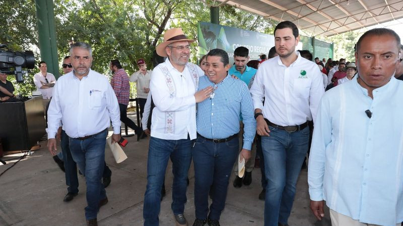 Limón en polvo, alternativa para llegar a mercados internacionales: Bedolla 