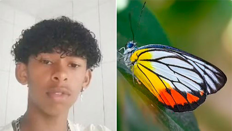 Por reto viral, fallece adolescente tras inyectarse restos de mariposa 