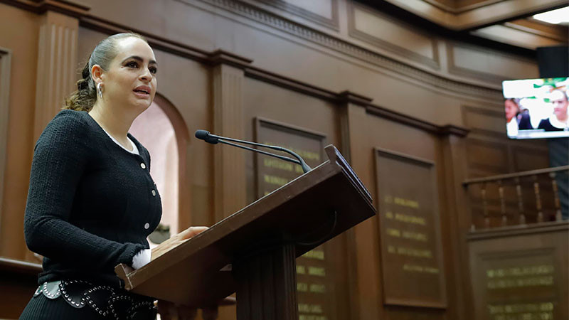 Propone Sandra Arreola reconocer como agresión extrema ataques con ácido en Michoacán 
