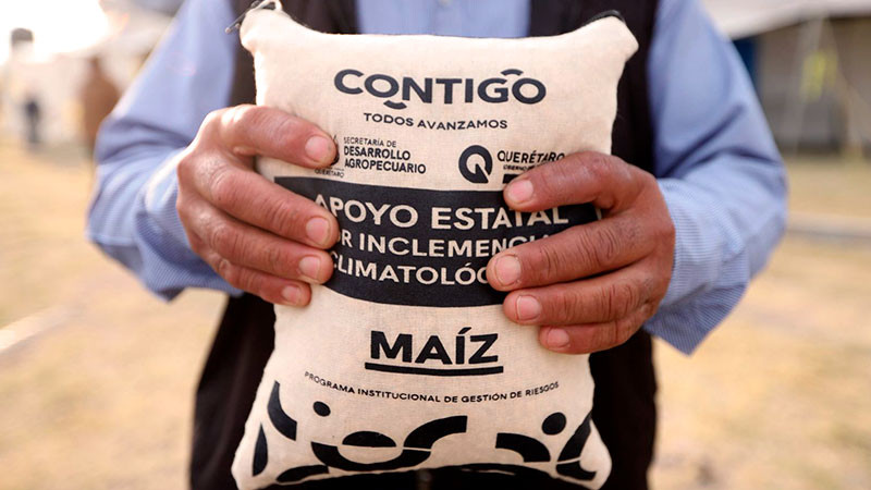 Entrega SEDEA maíz para consumo humano en San Juan del Río, Querétaro 