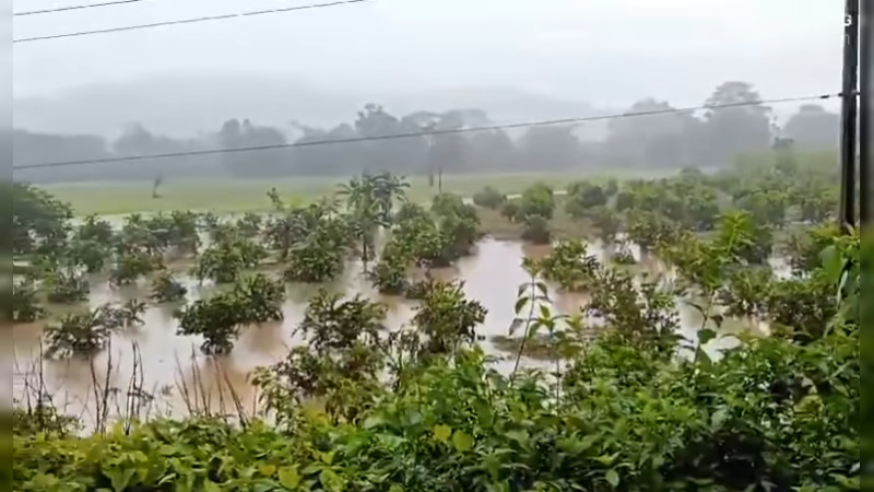 Sedena brinda apoyo tras desborde de río en Oaxaca 
