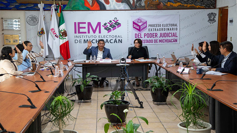 IEM aprueba a ciudadanas y ciudadanos que organizarán la elección del Poder Judicial en 26 distritos  