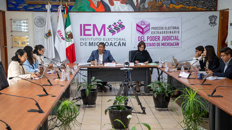 IEM aprueba estrategias para promover el voto 