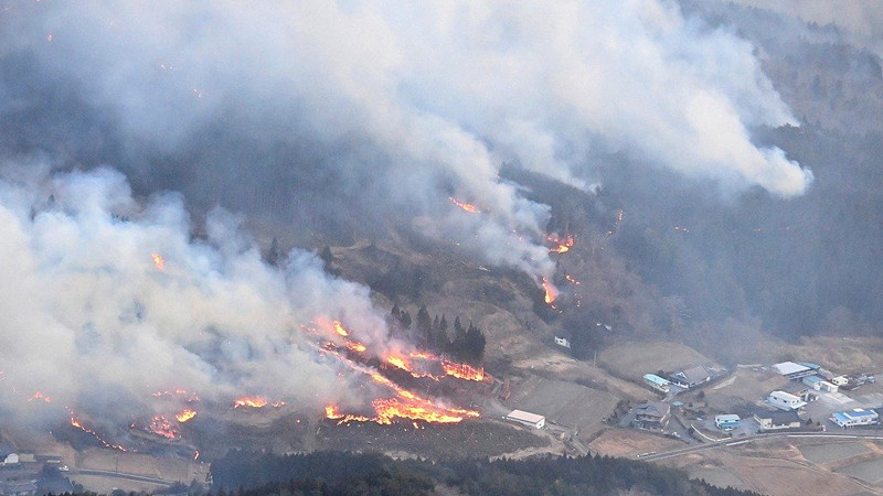 Incendios forestales en Japón deja una persona sin vida y miles de evacuados 
