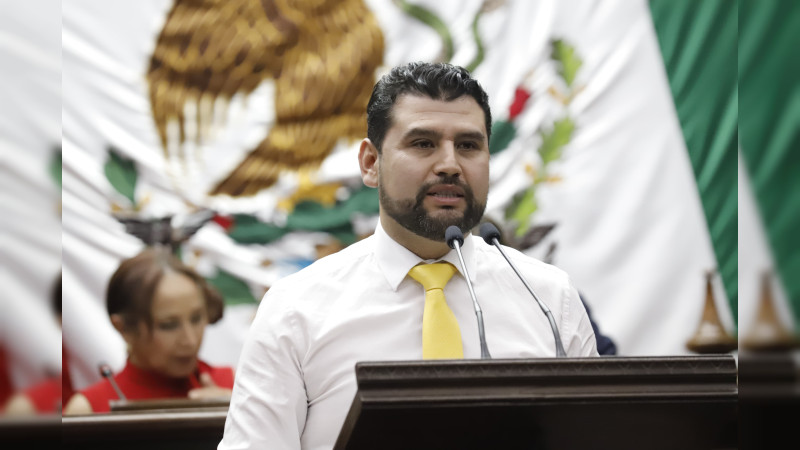 Michoacán avanza en derechos reproductivos: Octavio Ocampo 