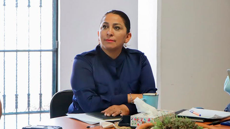 "Rehabilitación de vialidades en Quiroga, compromiso con la seguridad y el desarrollo urbano”: Alma Mireya González 