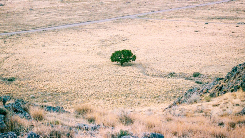 Sureste de México requiere inversión de 17 mil mdp para atender crisis hídrica 