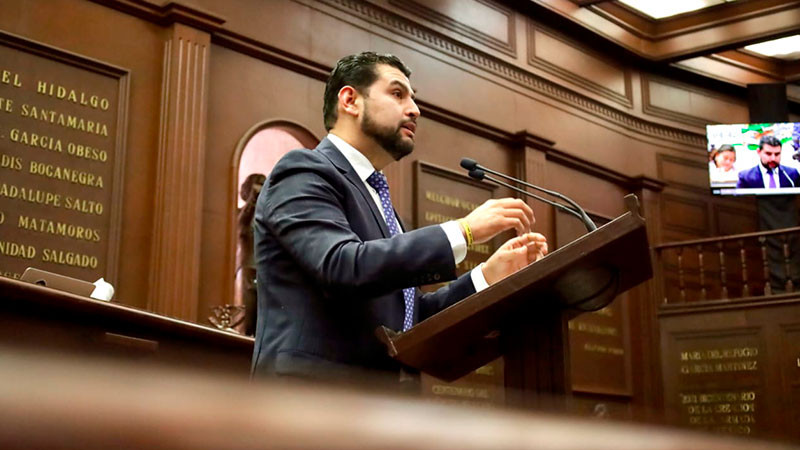 Octavio Ocampo presentó iniciativa para que Michoacán refuerce la defensa animal al sancionar la falta de auxilio a los animales 