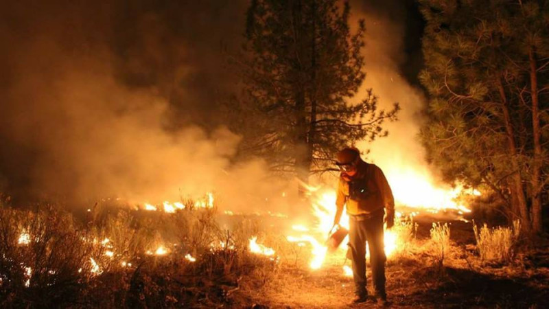 Incrementan los incendios forestales en 2025 