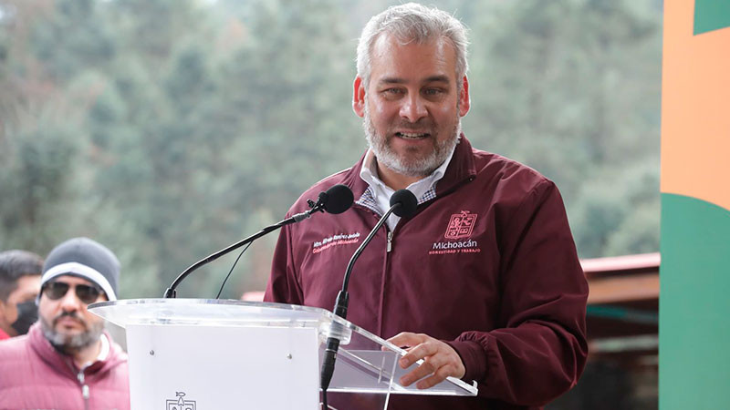 Bedolla celebra aumento de 99% de ocupación de la Monarca en bosques de Michoacán y México 