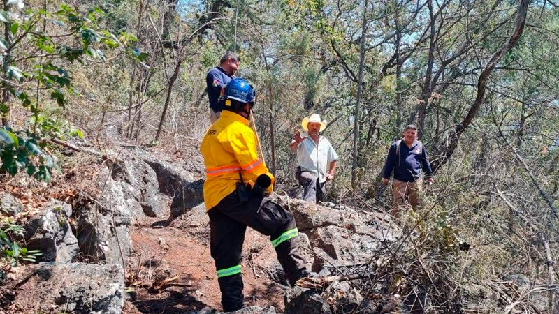 Sofocan incendio forestal en Landa de Matamoros, Querétaro 