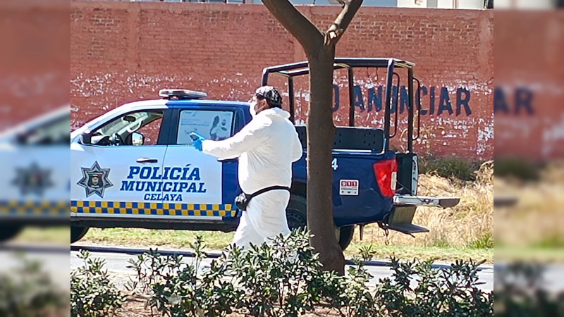 Atacan a balazos a policia de tránsito en Celaya, Guanajuato