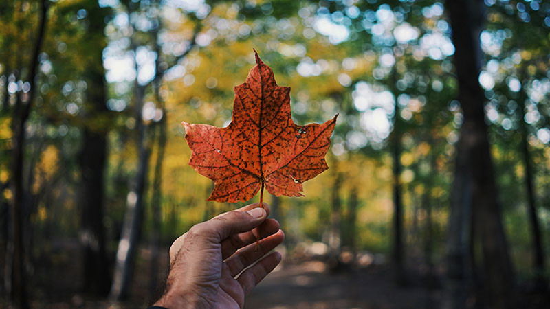 Los canadienses ya se la verán más difícil para entrar y permanecer: Estados Unidos 