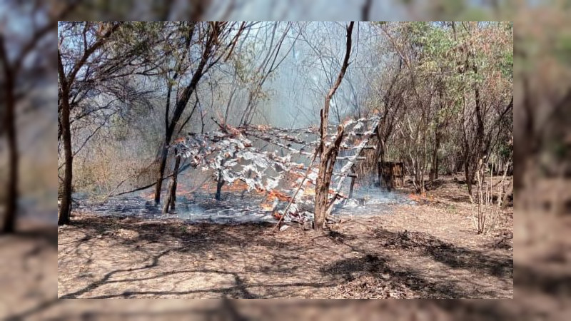 SSP y Defensa desmantelan campamento clandestino en Parácuaro, Michoacán 