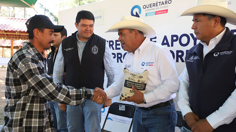 Fortalece SEDEA a productores de San Joaquín con maíz para consumo humano 