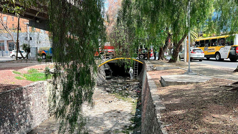 Dentro de un dren pluvial de Querétaro, fueron localizados presuntos restos óseos 