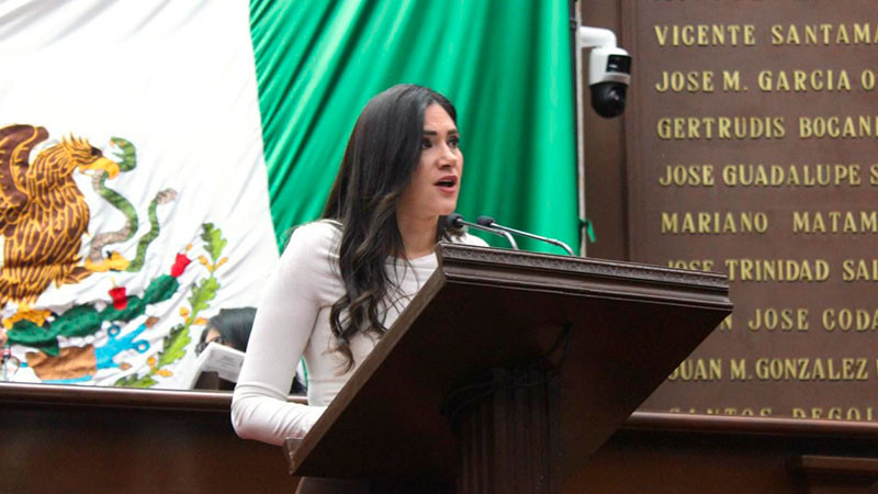 Debemos garantizar un proceso electoral de juzgadores, transparente y apegado a derecho: Diana Espinoza 