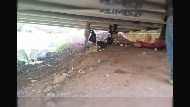 Gobierno de Morelia interviene bajo puentes de Av. Solidaridad