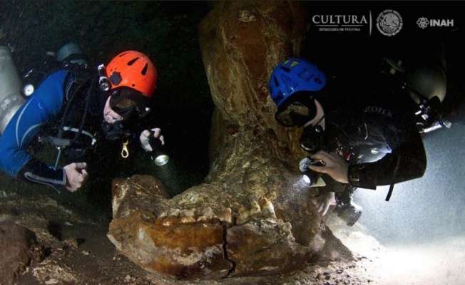 Un cráneo, una mandíbula de paquidermo y un altar, hallazgos del proyecto Gran Acuífero Maya del INAH - Foto 3 