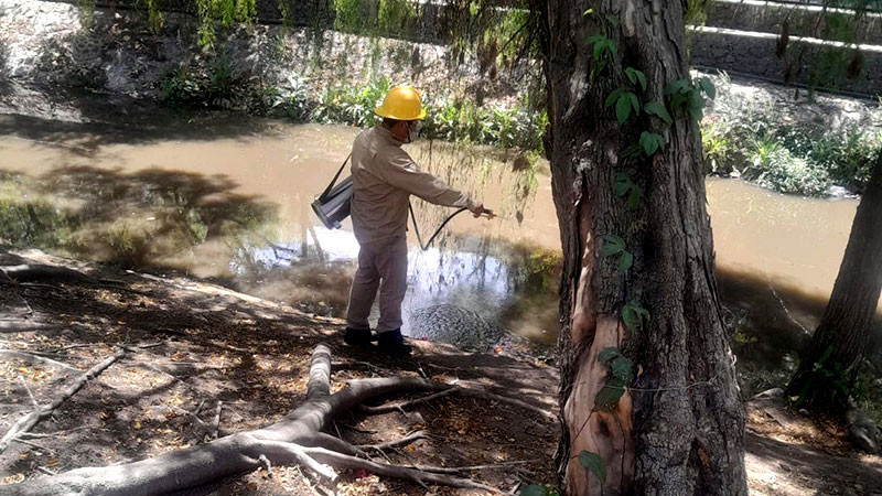 Realiza SESA vigilancia epidemiológica del dengue en el estado de Querétaro 