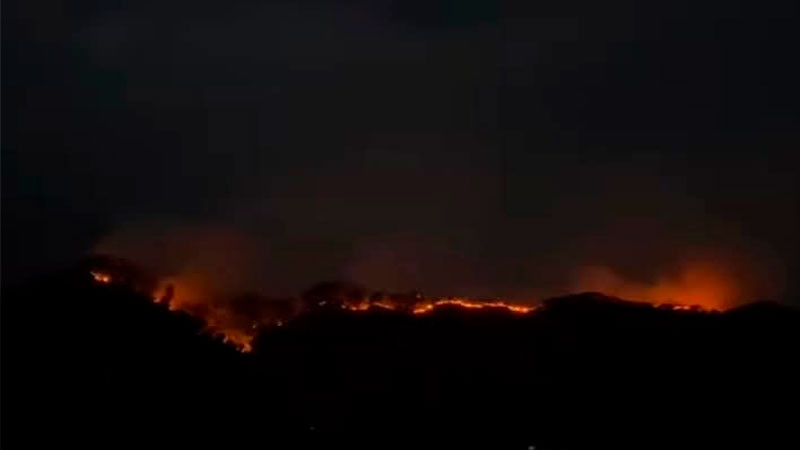 Consume más de 100 hectáreas de bosque fuerte incendio en el Tepozteco 