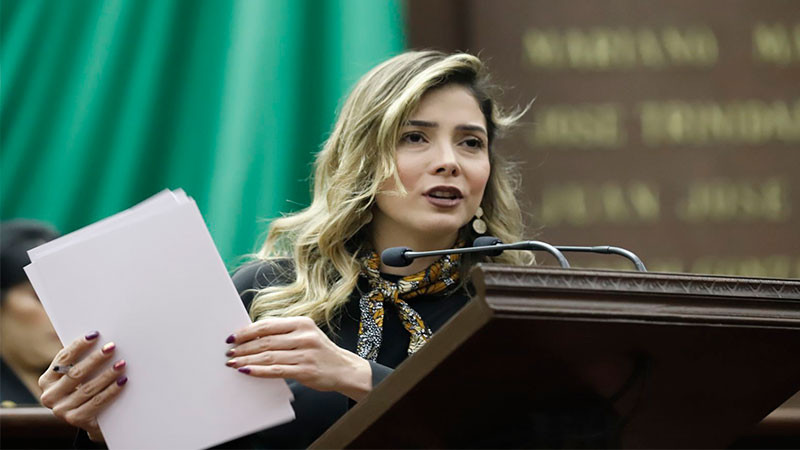 Ningún presunto agresor debe cubrirse en el manto del fuero: Brissa Arroyo  