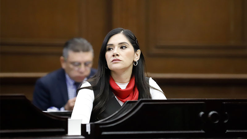 Desde las leyes debemos combatir la violencia de género: Diana Espinoza 
