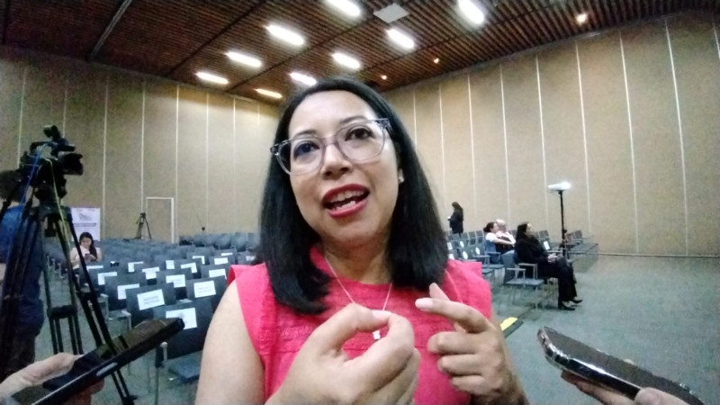 En Michoacán habrán hasta 11 boletas para elección del PJ: IEM 