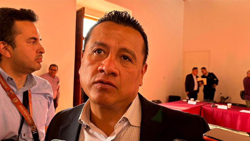 Estado se mantiene sin comunicación con alcaldesa de Coalcomán: Torres Piña 