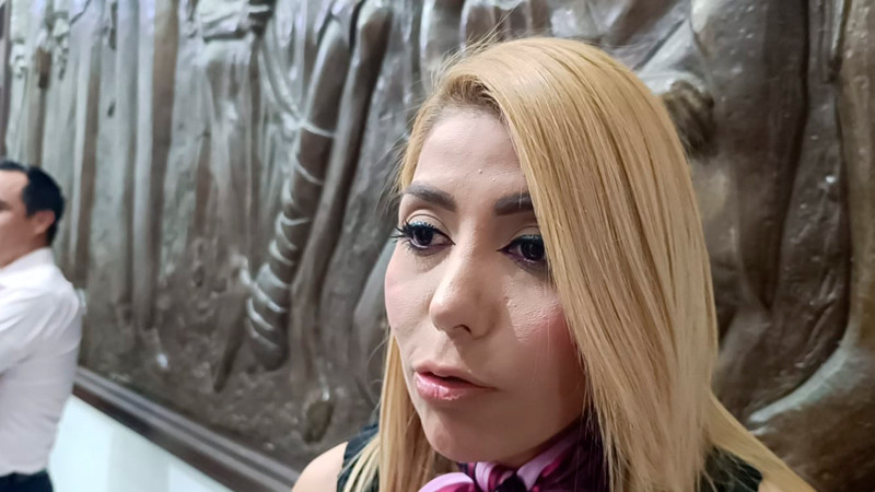 Comunidades de Apatzingán con desplazamiento forzado están sin clases: diputada Sandra Garibay  