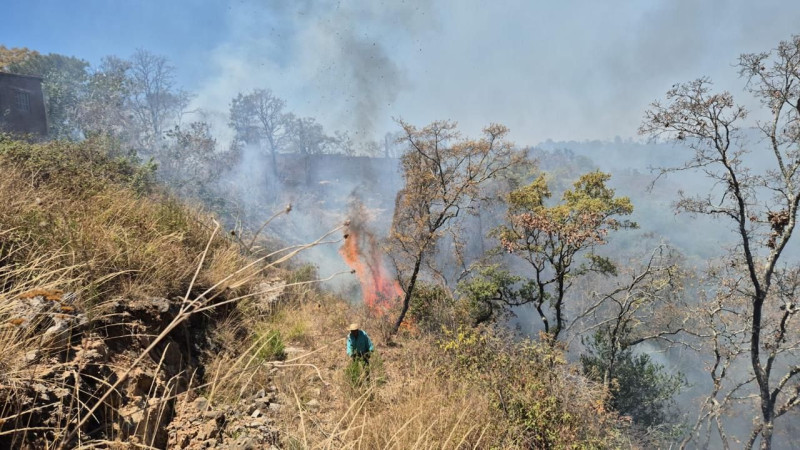 Controlado el incendio forestal en Jesús del Monte: Comisión Forestal del Estado de Michoacán 