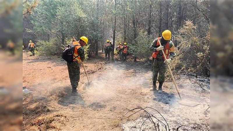 México acumula 1, 708 incendios forestales en lo que va del año 