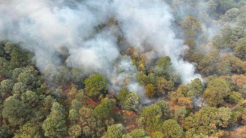 Trabaja Gobierno de Michoacán en contención de incendio en Zinapécuaro 