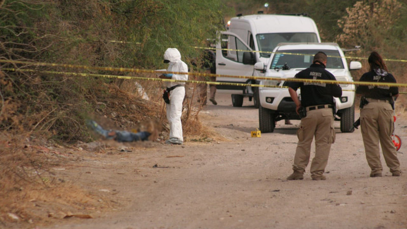 Hallan cuerpo en descomposición en camino rural de Los Reyes, Michoacán 