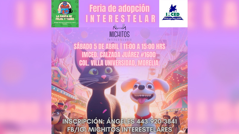 "Peludos buscan hogar: Feria de Adopción de Michitos Interestelares", en Morelia, Michoacán 