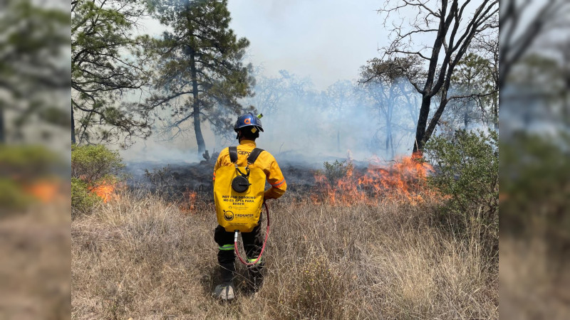 Coordina CEPCQ labores para sofocar incendio forestal en los municipios queretanos de Amealco y Huimilpan 