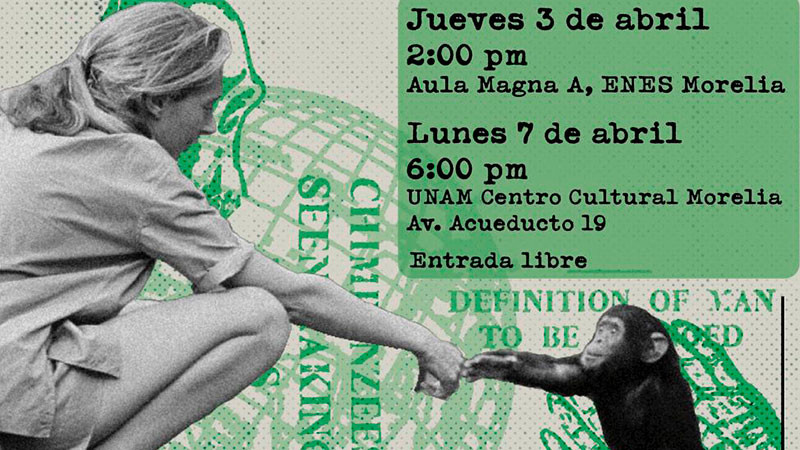 La UNAM Morelia invita a la charla “Jane Goodall y los chimpancés” 