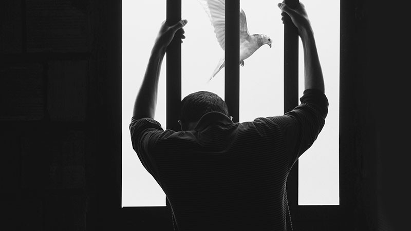 Cumple Fiscalía aprehensión contra presunto abusador sexual, en Angangueo, Michoacán 
