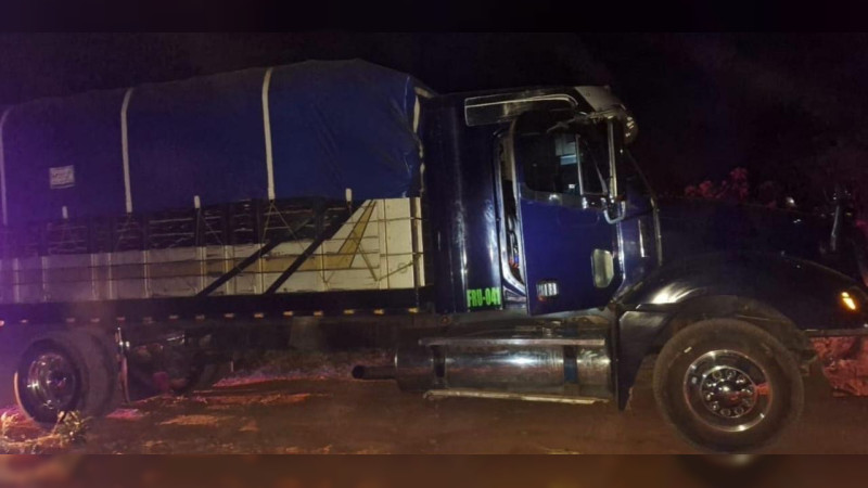 Robo de tráiler con aguacate lleva a captura de banda de asaltantes: Recuperan dos tráileres en Ziracuaretiro, Michoacán 