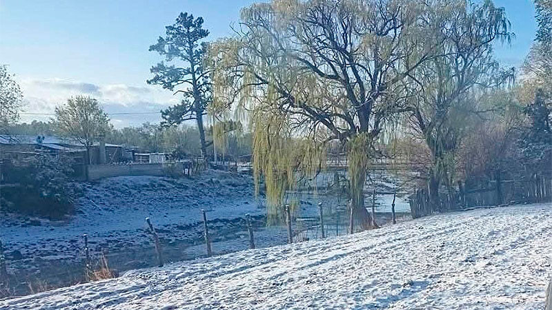 Se registran nevadas por el frente frío número 37 en Ciudad Madera, Chihuahua 