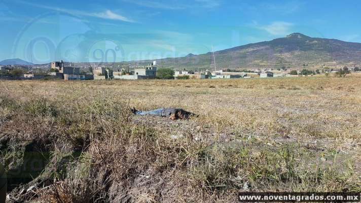 Localizan cadáver maniatado, torturado y baleado de un hombre en Chiquimitío, Michoacán 