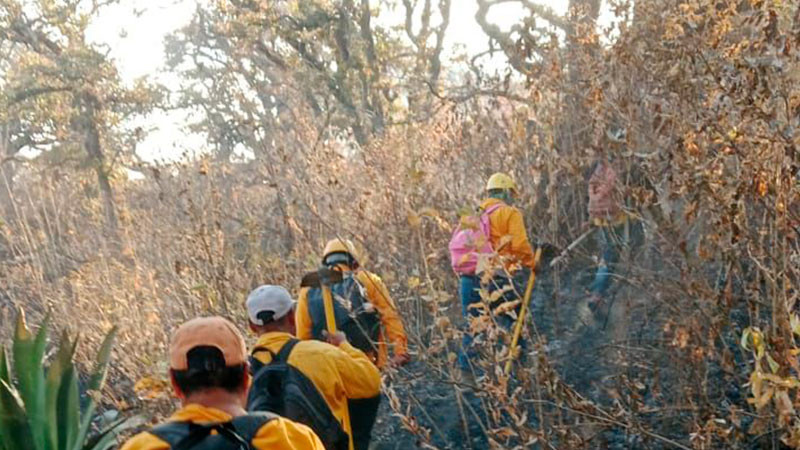 Controlado al 100 % el incendio forestal en Cojumatlán: Comisión Forestal del Estado de Michoacán 