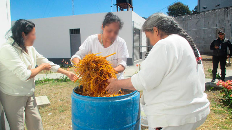 Mujeres privadas de la libertad cultivan setas en Centro Penitenciario de Zitácuaro 