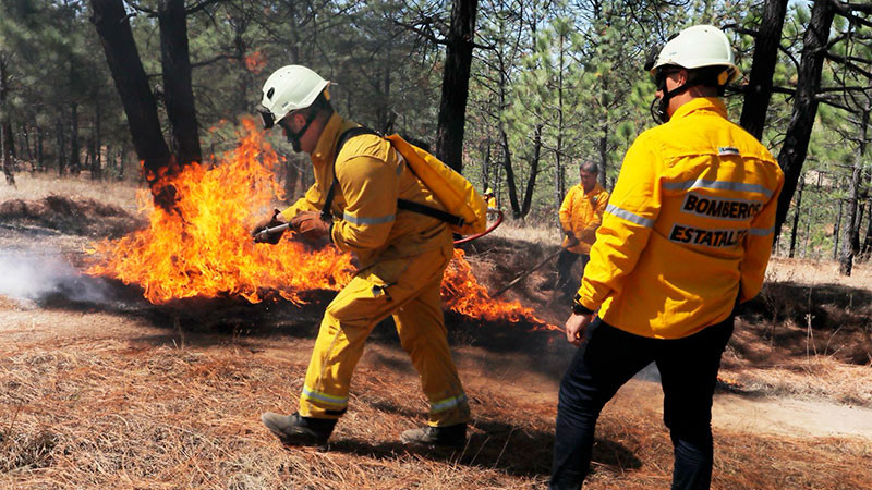 Cofom ha conformado 127 brigadas para combatir incendios 
