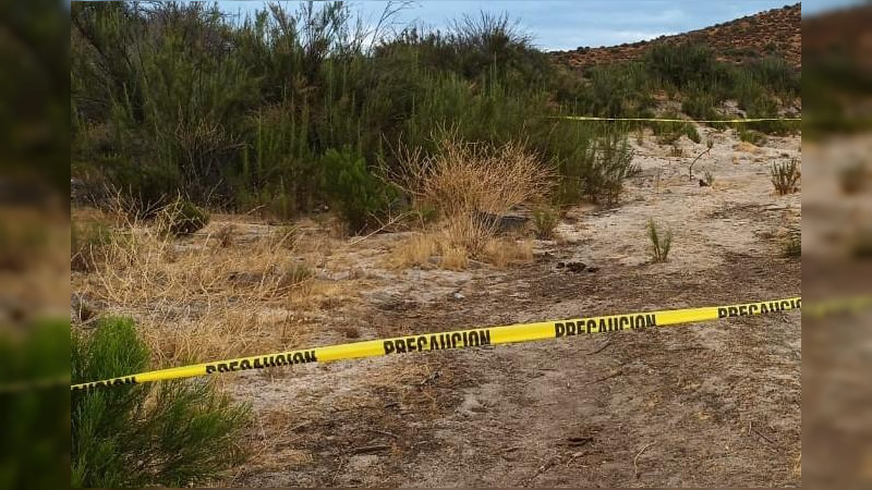 Abandonan dos cuerpos en brecha en Coahuayana, Michoacán, en límites con Colima 