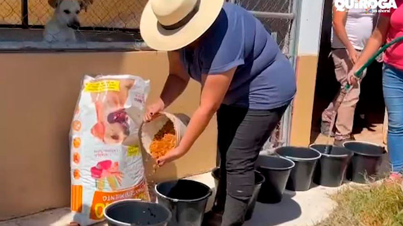 Reviven el Centro de Atención y Control Canino de Quiroga tras años de abandono 