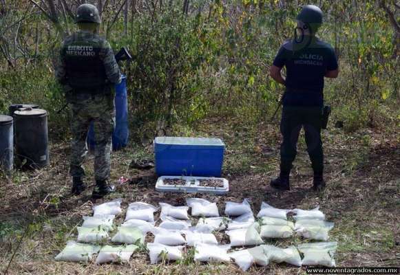 Michoacán: Destruyen narcolaboratorio y plantío de marihuana en Arteaga - Foto 7 