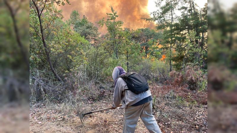 Dos brigadistas resultaron heridos mientras combatían incendio forestal en Zacapu, Michoacán 