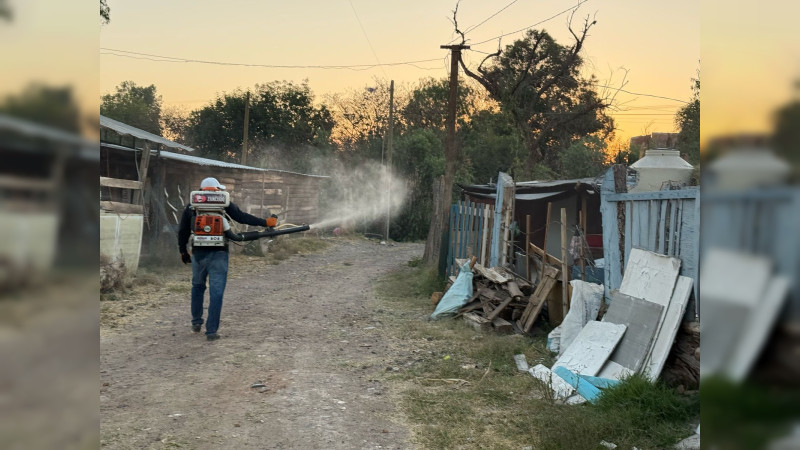 Barragán mantiene activo el programa Échale una Mano contra el Dengue 