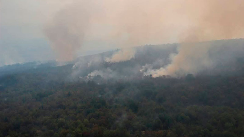 En Zacapu autoridades y comunidad trabajan juntos para combatir incendio forestal: Mónica Valdez 